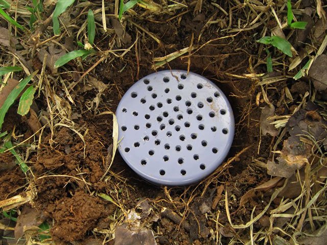 Biopori: Solusi Sederhana untuk Pengelolaan Air Tanah dan Lingkungan